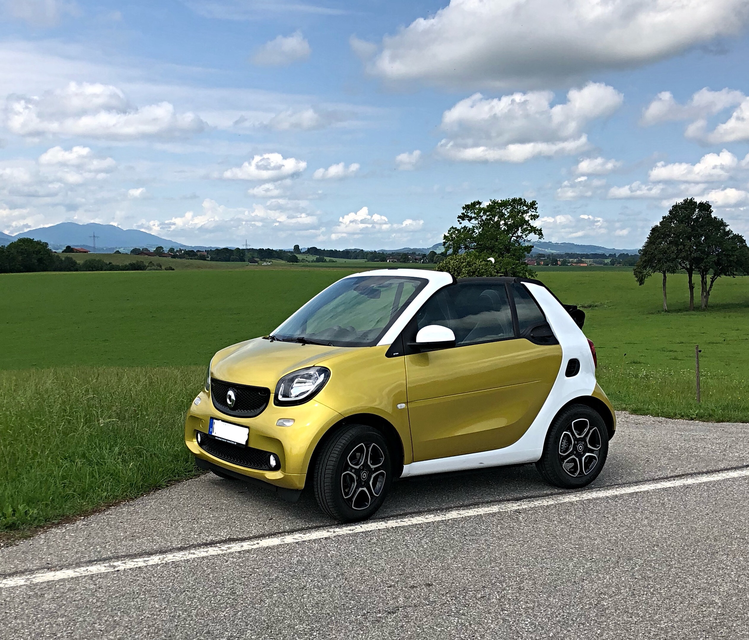 Unser Smart (  Gismo  ) im Blauen Land