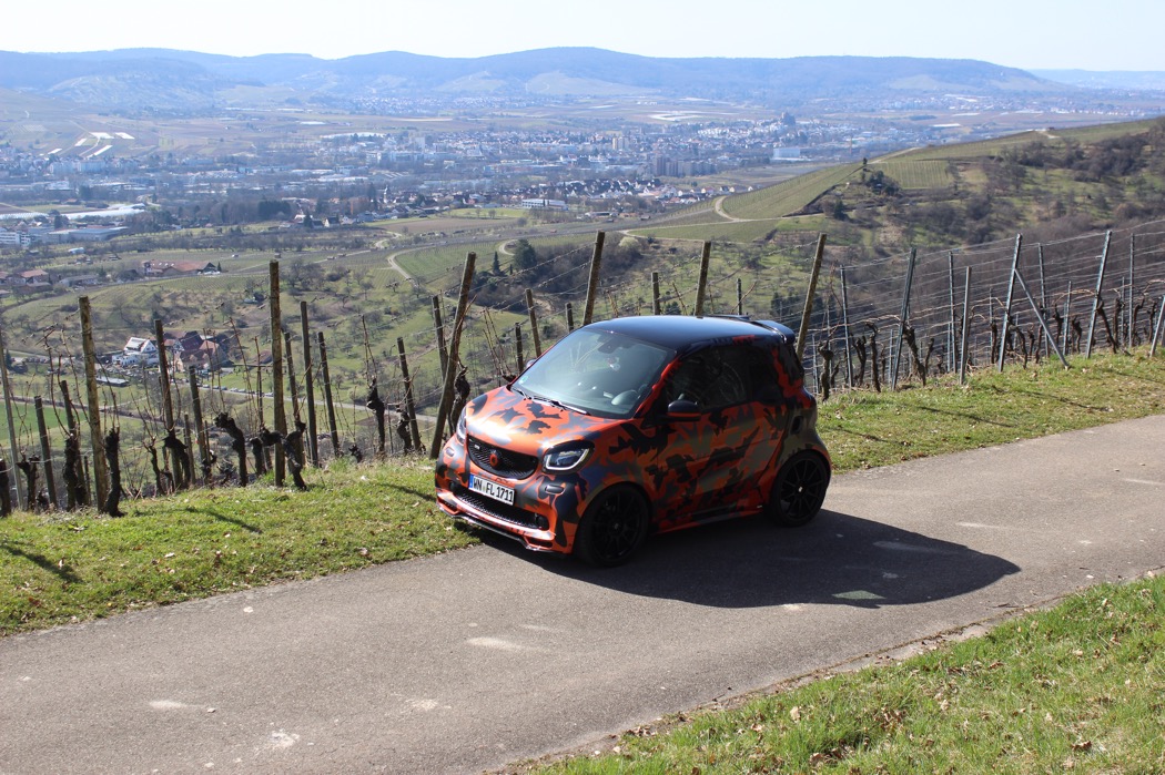 Kleine Ausfahrt in die Weinberge :D