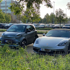 Unsere Sportcoupes